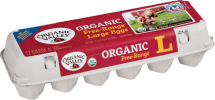 Brown Eggs product image.