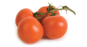 product image.