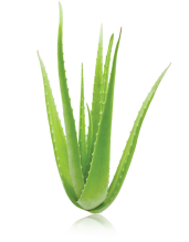 product image.