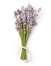 product image.