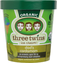 Three Twins Organic Ice Cream product image.
