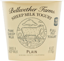 Plain Sheep Milk Yogurt product image.