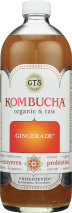 Organic Kombucha product image.
