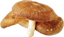 product image.