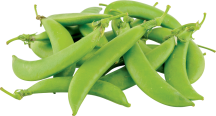 product image.