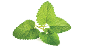 product image.