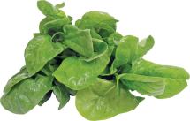 product image.